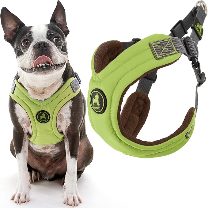 Gooby Escape Free Memory Foam Harness - Green, Large - No Pull Step-in Small Dog Harness with Four Point Adjustment - Perfect on The Go Dog Harness for Medium Dogs No Pull and Small Dogs