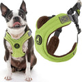 Gooby Escape Free Memory Foam Harness - Green, Large - No Pull Step-in Small Dog Harness with Four Point Adjustment - Perfect on The Go Dog Harness for Medium Dogs No Pull and Small Dogs