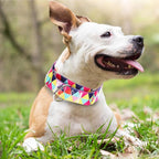 Wide Martingale Dog Collar - Heavy-Duty Escape-Proof Training Collar for Medium, Large & XL Dogs | Big & Thick No Pull Adjustable Design (Colored Triangle M)