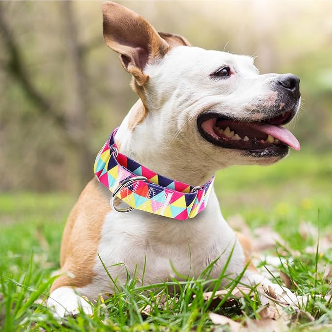 Wide Martingale Dog Collar - Heavy-Duty Escape-Proof Training Collar for Medium, Large & XL Dogs | Big & Thick No Pull Adjustable Design (Colored Triangle XL)