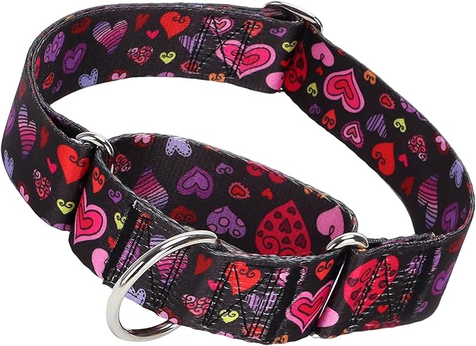 Valentine's Day 1.5 inch Wide Martingale Dog Collar, Cute Loving Heart Collar for Medium Large Extra Large Dogs -Heart XL