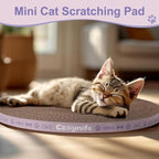 10 Inch Round Cat Scratcher Pad - 3/5 Inch Thick Compressed Cardboard Refill for Indoor Cats, Standalone Scratching Board to Protect Home Furniture & Satisfy Feline Scratching Instinct (2 PCS)