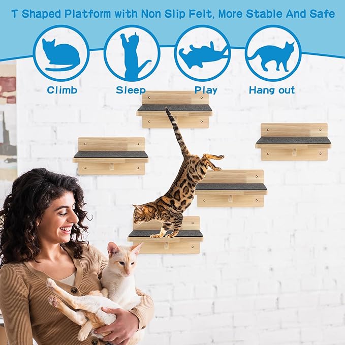 Lenwen Set of 6 Cat Wall Steps Shelf Shelves Wood Cat Climbing Shelves for Cats Mounted Furniture Cats Wall Bed Wood Stairs with Non Slip Felt for Springboard Playing (Classic)