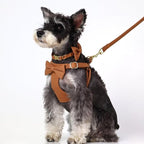 Beirui Adorable Small Dog Harness Collar Leash Set,Cute Puppy Harness with 3 Bows for XS Dogs,Yorkie,Adjustable Step-in Vest for Walking,Parties&Holiday Outfits(Brown,XS)