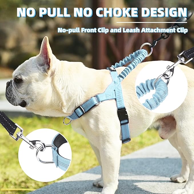 PUPTECK No Pull Dog Harness Small Sized Dog, Adjustable Reflective Pet Vest Harness with Bungee Handle, Escape Proof No Choke Harness for Small Dogs Walking Training, Sky Blue M