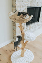 Mau Lifestyle White Uni Cat Tree, 43" H, 27 LBS