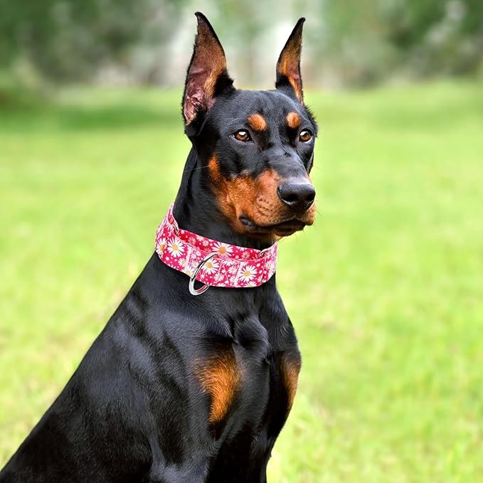 1.5 Inch Martingale Dog Collar - No Pull Daisy Design Nylon Training Collar for Medium, Large & XL Dogs | Heavy Duty Adjustable Choke-Free Collar for Large Breed Pets (Hot Pink Daisy L