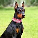 1.5 Inch Martingale Dog Collar - No Pull Daisy Design Nylon Training Collar for Medium, Large & XL Dogs | Heavy Duty Adjustable Choke-Free Collar for Large Breed Pets (Hot Pink Daisy L
