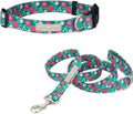 Lucky Love Dog - Adjustable Dog Collar and Leash Set with Easy Click Buckle for Medium Dogs, Durable, & Comfortable Collar for Male & Female Dogs, Puppies & Adult Ones - Penny Combo, Medium