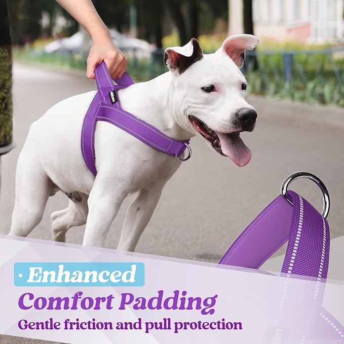 rabbitgoo Dog Harness No Pull, Quick Fit for Large Dogs with Soft Padded Handle, Chest Adjustable Reflective Pet Vest, No Choke Escape Proof for Walking Training, Purple XL