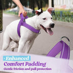 rabbitgoo Dog Harness No Pull, Quick Fit for Large Dogs with Soft Padded Handle, Chest Adjustable Reflective Pet Vest, No Choke Escape Proof for Walking Training, Purple XL