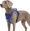 Funfox Dog Harness No Pull, Adjustable Pet Vest Harness, Super Soft Material with Vertical Handle Easy Control, Reflective Night Walking, 2 Leash Clips for XLarge Dogs, Blue, XL