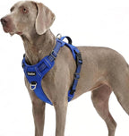 Funfox Dog Harness No Pull, Adjustable Pet Vest Harness, Super Soft Material with Vertical Handle Easy Control, Reflective Night Walking, 2 Leash Clips for XLarge Dogs, Blue, XL