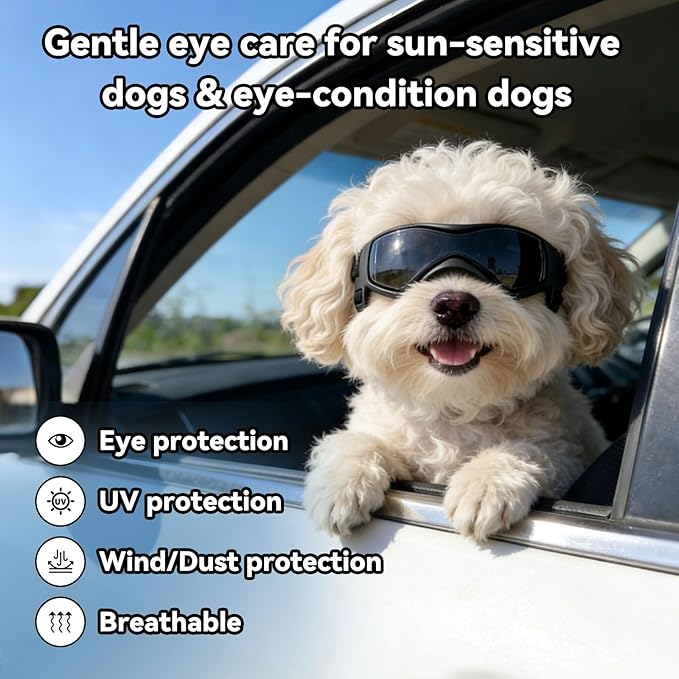 Dog Goggles Dog Sunglasses for Medium Breed UV Protection Windproof with Adjustable Head Straps Chin Straps for Ride Car/Hiking Travel/On Beach-Black
