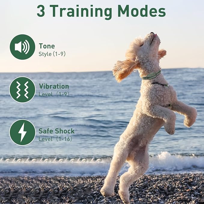 Dog Training Shock Collar with Remote 3300ft Range - Waterproof Shock Collar for 10-110lbs Dogs, Rechargeable E Collar for Dogs Training, Safety Shock Collar(0-16), Green