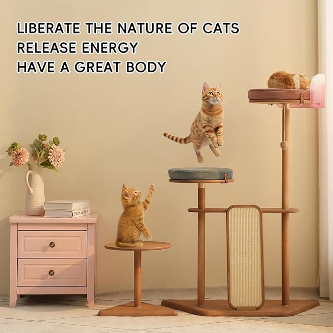 Modern Cat Tree for Living Room - Oak Veneer Cat Tower with Acrylic Pod, Solid Rubberwood, Scratch-Resistant Chenille & Sisal, Modern Cat Furniture for Indoor Cats