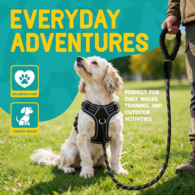 No Pull Dog Harness and Leash Set for Small Dogs – Adjustable Reflective Breathable Soft Padded Easy Control Dog Harness for Training & Walking, Black (Small)