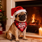 Christmas Dog Bandanas -Too Cute for the Naughty List, Funny Holiday Stocking Pet Scarf Gifts, Red Plaid, Small & Medium Breed, 5-25lbs