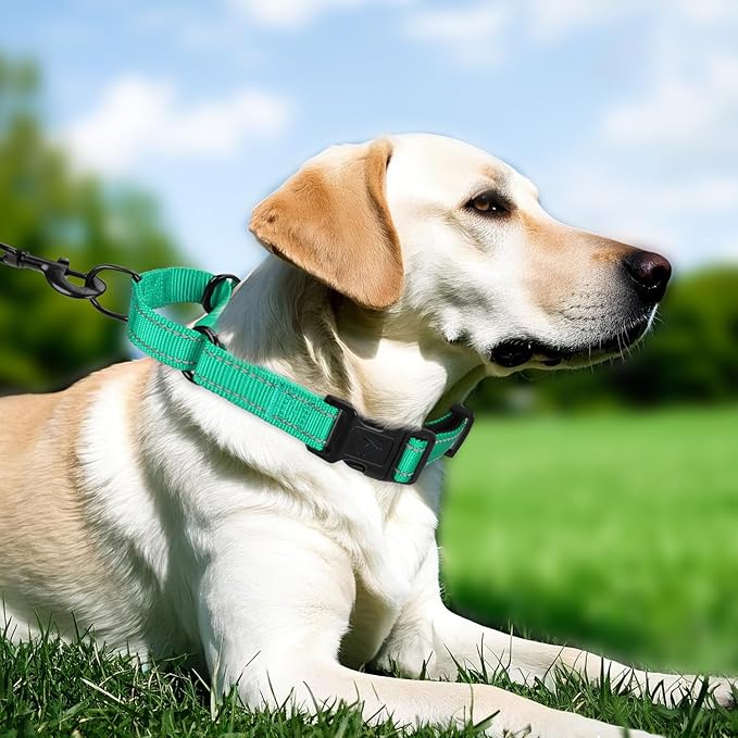 Martingale Collar for Dogs with Quick Release Buckle, Reflective Soft Padded & Escape Proof, Adjustable Nylon Dog Collars for Training & Daily Walking (Turquoise,M)