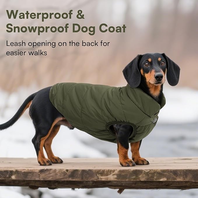 ASENKU Windproof Dog Winter Coat Waterproof Fleece Jacket Cold Weather Pet Apparel for Small Medium Large Dogs (ArmyGreen, M)