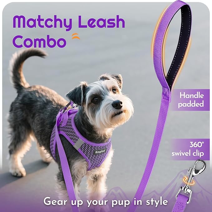 Eagloo Small Dog Harness and Leash Set, Step in Puppy Vest with Breathable Soft Mesh, Walking Reflective Pet Harness for Small Dogs, Purple, XS