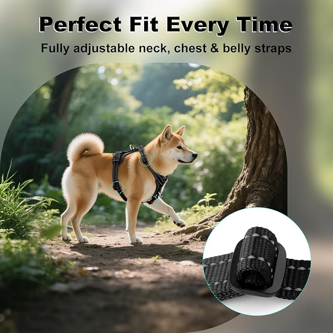 Plutus Pet Adjustable No Pull Dog Harness with Leather Accents, Heavy Duty Reflective Nylon Vest for Training, Hiking, Easy Walk Harness for Small, Medium, Large Dogs (Black, S)