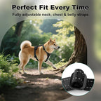 Plutus Pet Adjustable No Pull Dog Harness with Leather Accents, Heavy Duty Reflective Nylon Vest for Training, Hiking, Easy Walk Harness for Small, Medium, Large Dogs (Black, S)