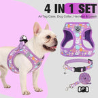 EXPAWLORER Easter Small Dog Harness - Dog Collar and Leash Set - Soft Mesh Padded Adjustable Step in Puppy Vest Harness No Pull, Reflective Escape Proof for Outdoor Walking, Bunny Egg M
