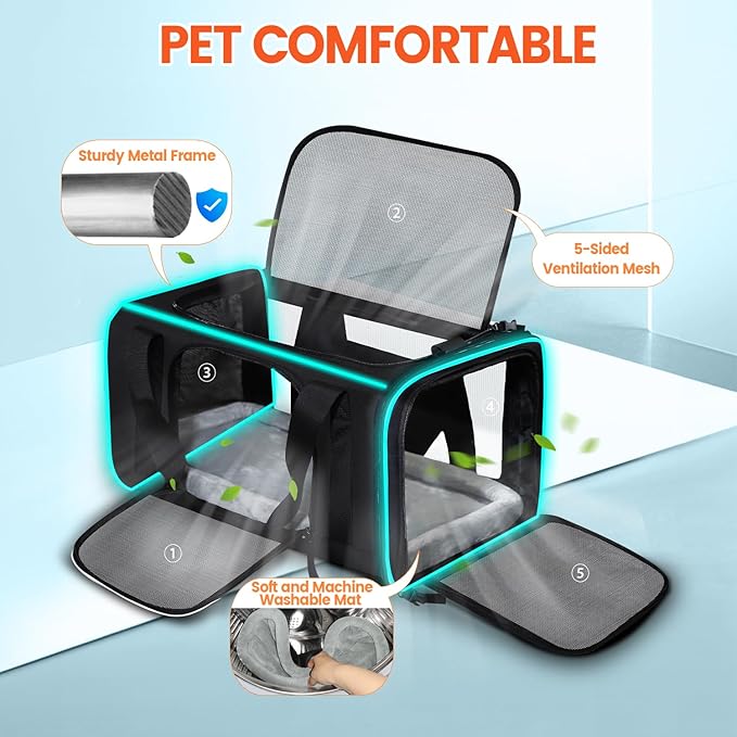 Petskd Small Pet Carrier with Wheels(18" L x 11" W x 11" H), Delta/American/United Airlines Approved, Rolling Pet Carrier for Small Dogs & Cats (Black)