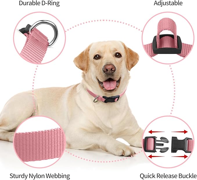 Modern Stylish Ecollar Replacement Strap, Nylon 3/4" Replacement Collar for Shock Collar with Quick Release Buckle, Soft Shock Collar Replacement Strap for Small Medium Large Dogs (Pink & Yellow)