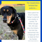 Lucky Love Dog - Easy Click Buckle Dog Collar with Leash Set Combo, Durable & Comfortable for Male & Female Dogs, Pet Collar for Large Dogs, Secure Fit - Hana Combo, Large