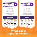 Heather's Heroes Sidekick Dog Headcollar with Leash - Effective Dog Training Tool for Leash Reactivity and Behavior Issues (Purple, Mini (1/4"))