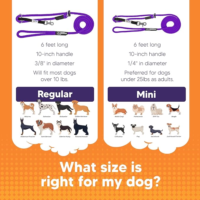 Heather's Heroes Sidekick Dog Headcollar with Leash - Effective Dog Training Tool for Leash Reactivity and Behavior Issues (Purple, Mini (1/4"))