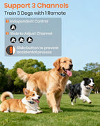 2-in-1 Bark & Shock Collar - Color Screen Dog Training Collar with Beep/Vibration/Shock/Anti Bark 4 Modes, 3300FT E Collar with Remote for Small to Large Dogs (8-120lbs), IP67 Waterproof Rechargeable
