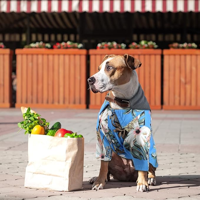 Weewooday 4 Pieces Small Pet Summer T-Shirts Hawaii Style Floral Pet Dog Shirt Breathable Cool Clothes Beach Seaside Puppy Sweatshirt for Puppy(Cute Style,Large)