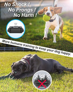 No Shock Dog Training Collar with Remote, Dog Vibration Collar with Controller Beep and Vibrate Only, Safe Lock Waterproof Rechargeable Vibrating Collars for Dogs(10-120 lbs)-No Prongs (Black)
