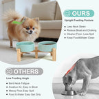 SPUNKYJUNKY Elevated Dog Bowls Ceramic, 5.1'' Dogs and Cat Food Water Bowls Raised with Non-Slip Bamboo Stand for Puppy Small Sized Breed Microwave Dishwasher Safe - 13.5 OZ,Light Green