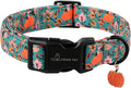 ARING PET Fall Dog Collars, Cute Autumn Pumpkin Maple Leaves Pet Collar with Quick Release Buckle for Small Medium Large Girl Boy Dogs-XS Deep Color