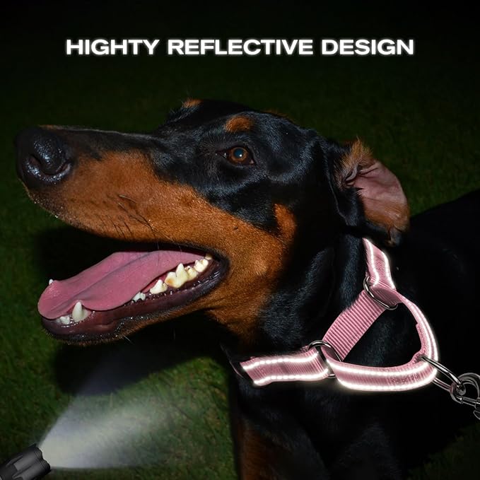 Joytale Martingale Collar for Dogs, Reflective Heavy Duty for Safety, Quick Release Buckle, Adjustable Nylon Collars for Medium Dogs Walking Training, Pink, M