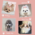 20 Pcs Small Dog Hair Bows with Rubber Bands Handmade Puppy Hair Bows Cute Grooming Flower Ball Bowknot Top Knot Dog Hair Accessories Hair Ties for Yorkie Maltese Pet (Pink) ﻿
