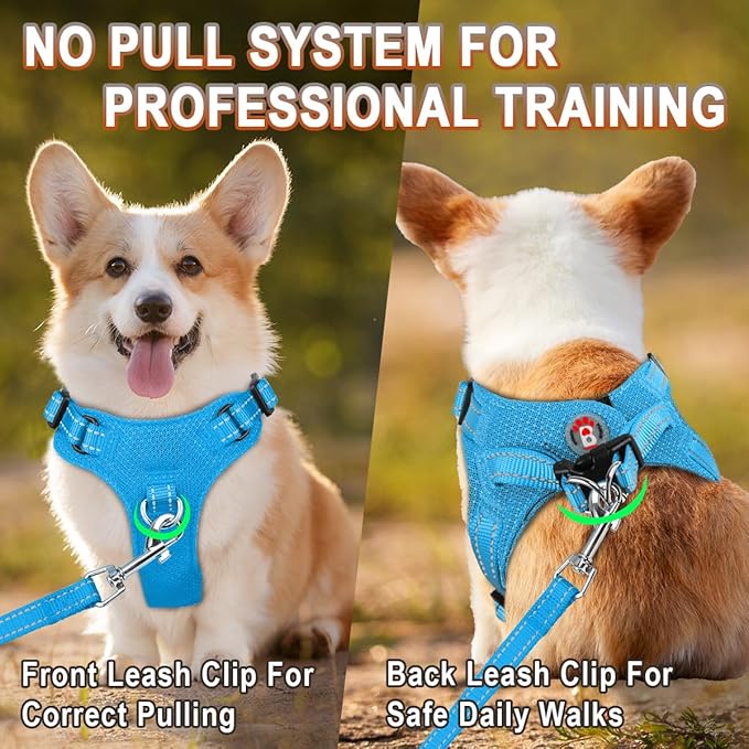 Dog Harness Step in Dog Vest Harness, Reflective Adjustable Puppy No Pull Harness Breathable Soft for Small and Medium Dogs Cats, Blue, XS