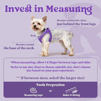 rabbitgoo Small Dog Harness, Step-in Soft Mesh Puppy Vest with Safety Buckle, Breathable Reflective Pet Harness for Small Sized Dogs, Purple M