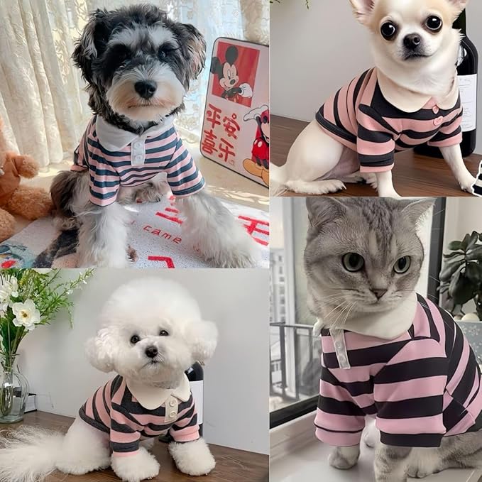 MANON ROSA Dog Clothes, Designer Boy Polo Shirt for Small Medium Dogs, Soft Puppy Outfit, Breathable Male Yorkie Chihuahua Shih Tzu Poodle Kitten Cat T-Shirt, Birthday Gifts - Pink, M, Fit 5.5-8.8lbs