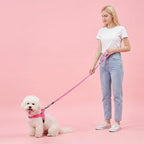 Didog No Pull Dog Harness with Soft Flannel Padded,Reflective & Quick Fit Light Weight Dog Strap Vest Harness,Easy for Walking Training for Small & Medium and Large Dogs(Pink,S)