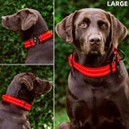 Tuff Pupper Tactical Dog Collar with Handle | Heavy Duty Adjustable Dog Collar | Military Nylon Collar for Large Dogs | Quick-Release Buckle | Soft Padded Comfort | Training Control (Red, Large)
