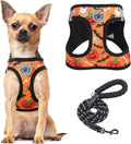 BEAUTYZOO Step in Dog Harness and Leash Set,Floral Pattern Reflective Dog Harness No Pull No Choke Puppy Harness for Small Dogs Cats,Soft Padded Mesh Vest Harnesses for Girl and Boy Pets,Halloween S