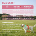 AUROTH Dog Harness and Leash Set, Soft Padded Service Dog Vest with 5.25FT Dog Leash, No Choke, Easy On Pet Vest, Adjustable Reflective No Pull Dog Harness Small Sized Dog, Easy Walking and Training