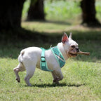 PUPTECK Soft Mesh Dog Harness and Leash Set Pet Puppy Cat Comfort Padded Vest No Pull Harnesses, Green, L