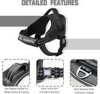 AUROTH Dog Harness and Leash Set, Soft Padded Service Dog Vest with 5.25FT Dog Leash, No Choke, Easy On Pet Vest, Adjustable Reflective No Pull Dog Harness for Large Dogs, Easy Walking and Training