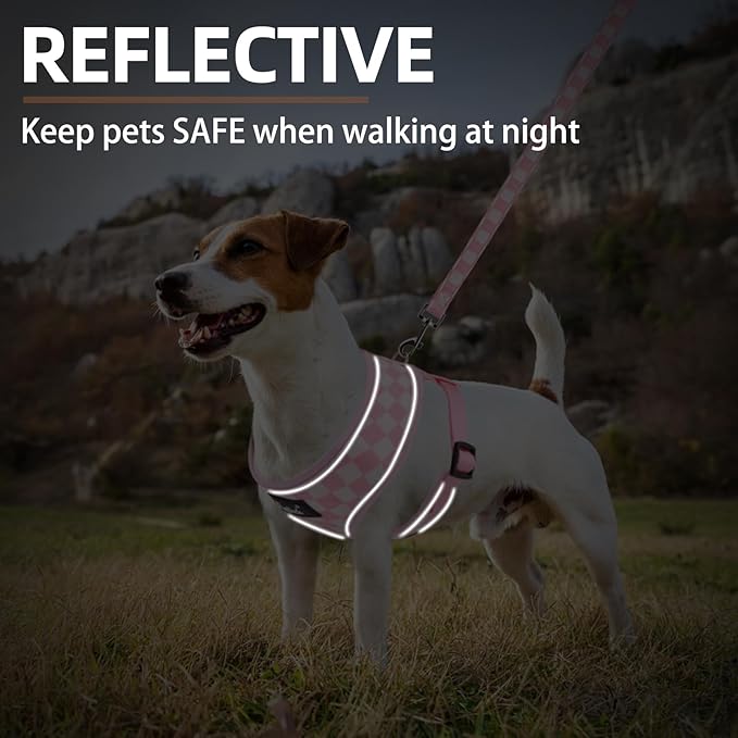 PUPTECK Soft Mesh Dog Harness and Leash Set Pet Puppy Cat Comfort Padded Vest No Pull Harnesses, Checkered Pink&White, XS